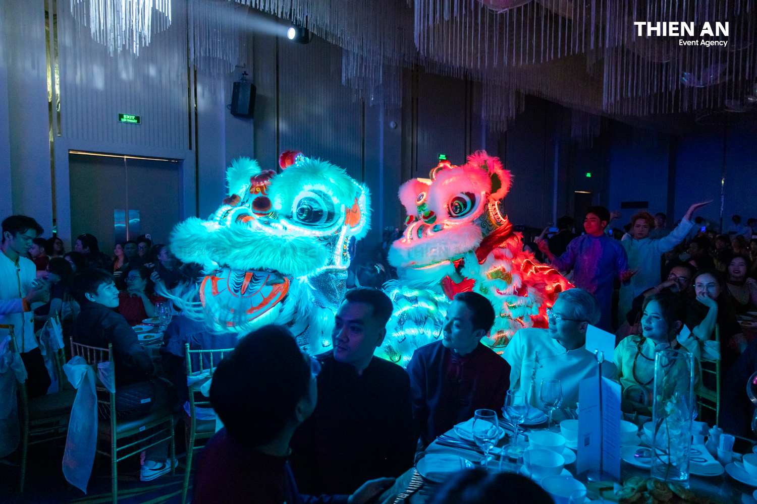 KIN Group YEP2025 - Tết Ngộ - Mã Đáo Thành Công