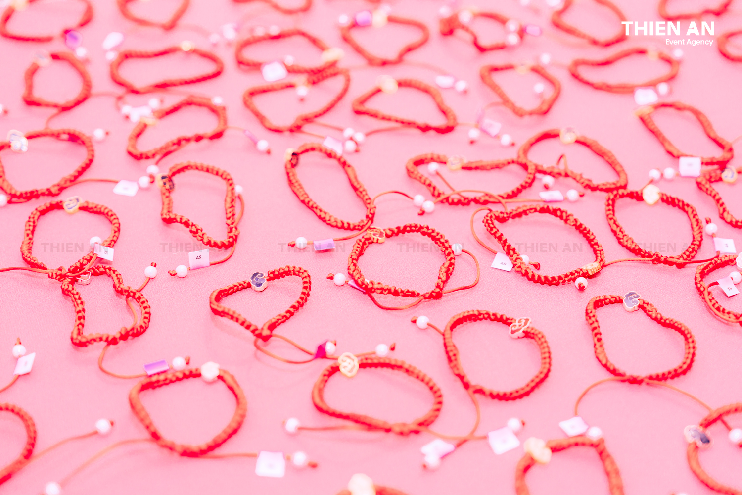 Titan DMS YEP2025 - Tết Slay