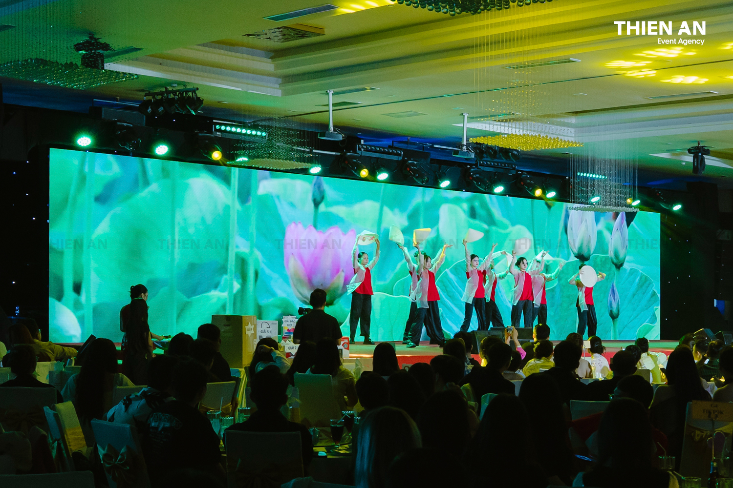 TRANSCOSMOS VIỆT NAM | YEP2025 - TẾT-STIVAL